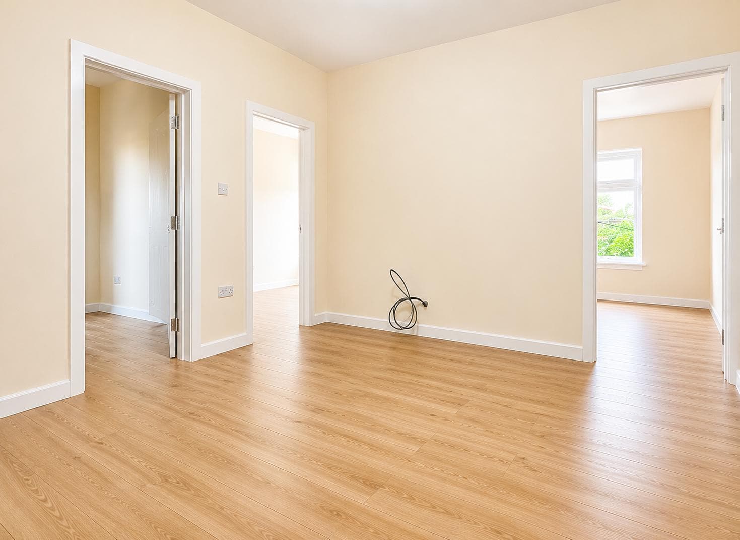 Hallway and reception space with multiple new internal doors